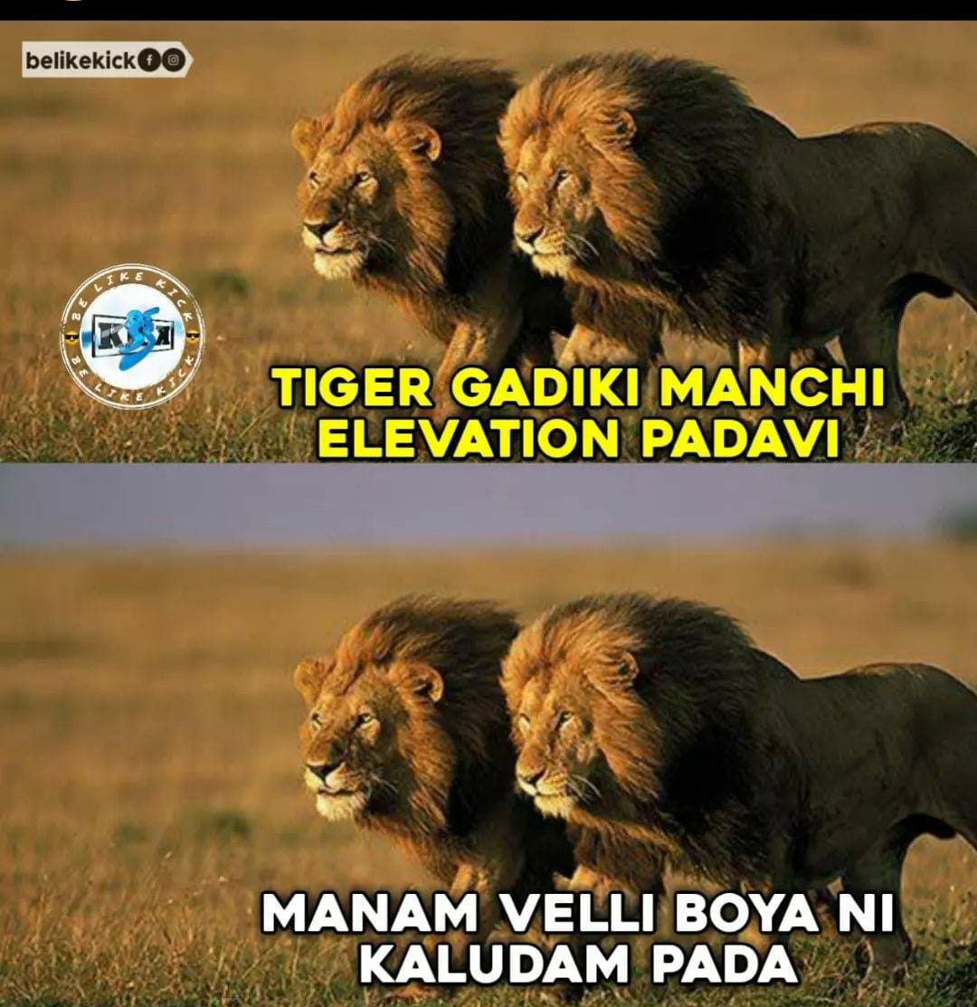 FO83mwIVkAAz8z8?format=jpg&name=medium