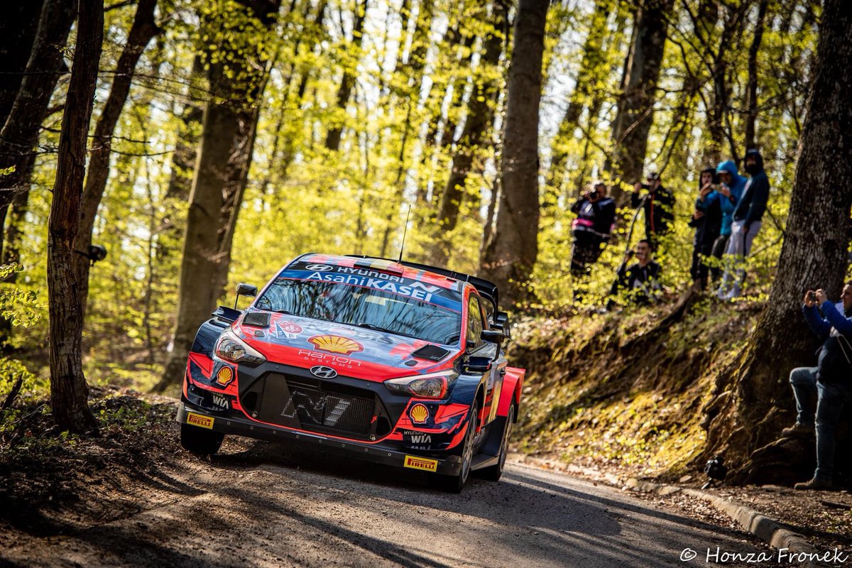 rallye054 tweet media