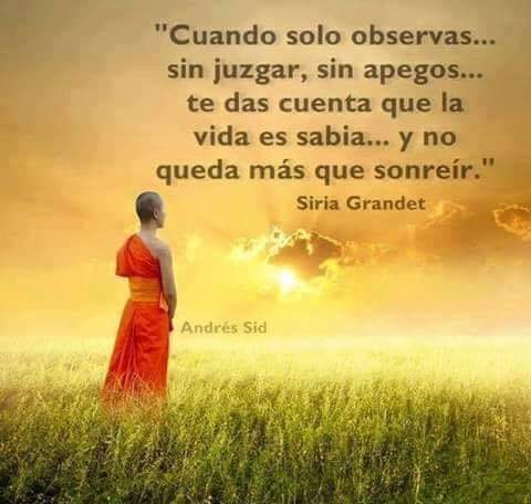 ClaraEugeniaGG's tweet photo. https://t.co/hVoBm5bv7w