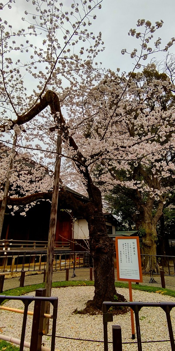 chaco太郎 tweet media