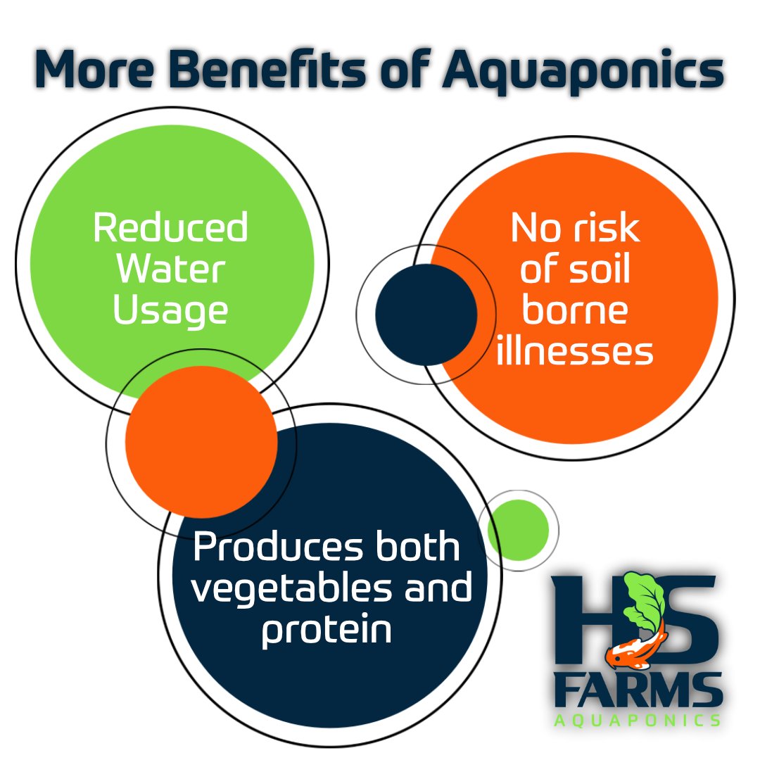 hsfarmsinc's tweet photo. Did you know aquaponic farming produces 10x more crops in the same space as traditional agriculture? Here are some more reasons to love it!
.
.
.
.
.
#aquaponic #homedelivery #delivery #shoplocal #aquaponics #produce #plants #certifiedorganic #organic #organicfood #organiclife https://t.co/rH4eHlZale