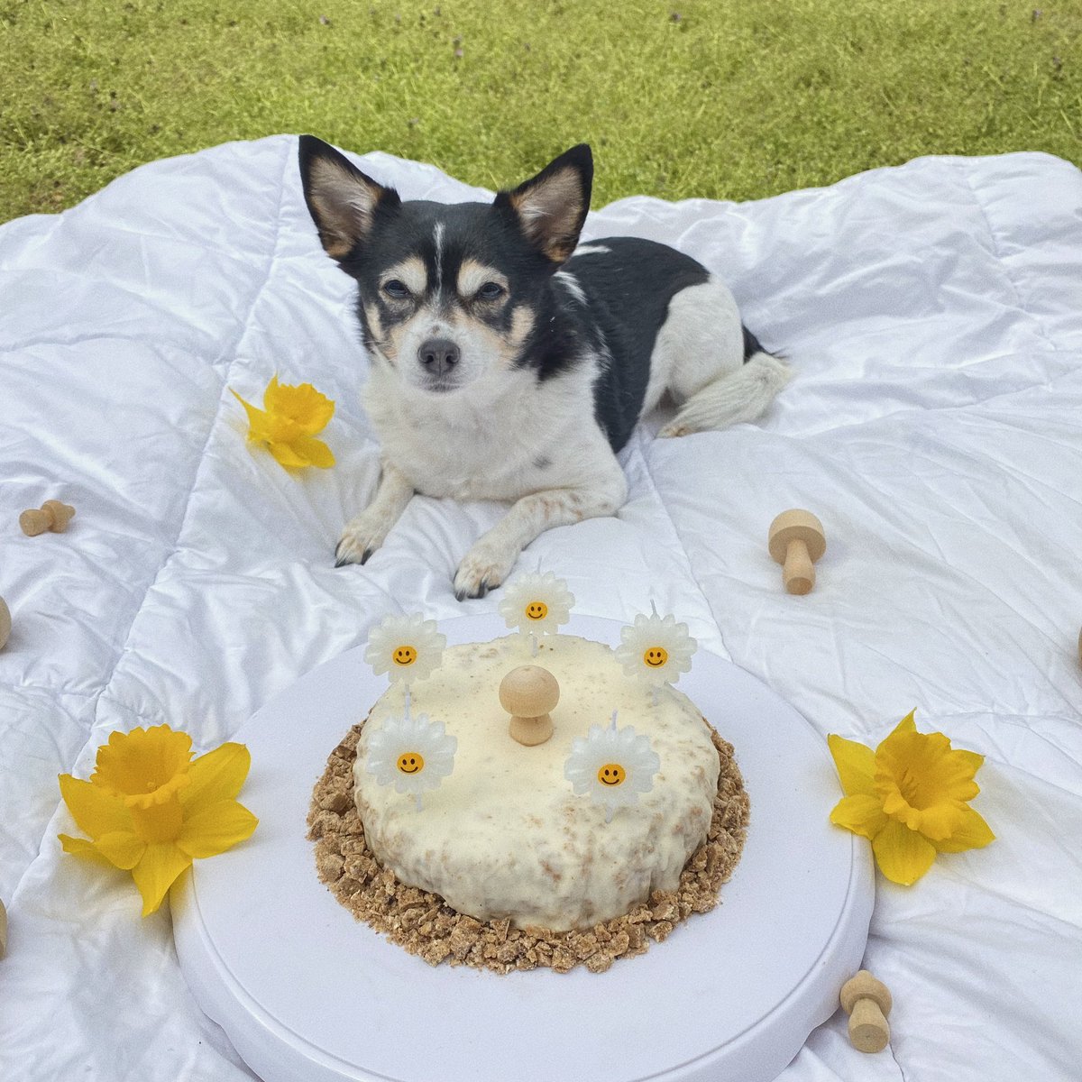 spent her whole morning eating banana cake in the snow. happy eleven💛