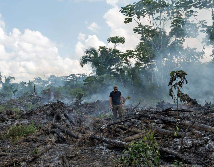 b_tee_'s tweet photo. Deforestation of the Amazon forest. (2019) @GEO101SUNY #deforestation https://t.co/tPcHF3Rakw