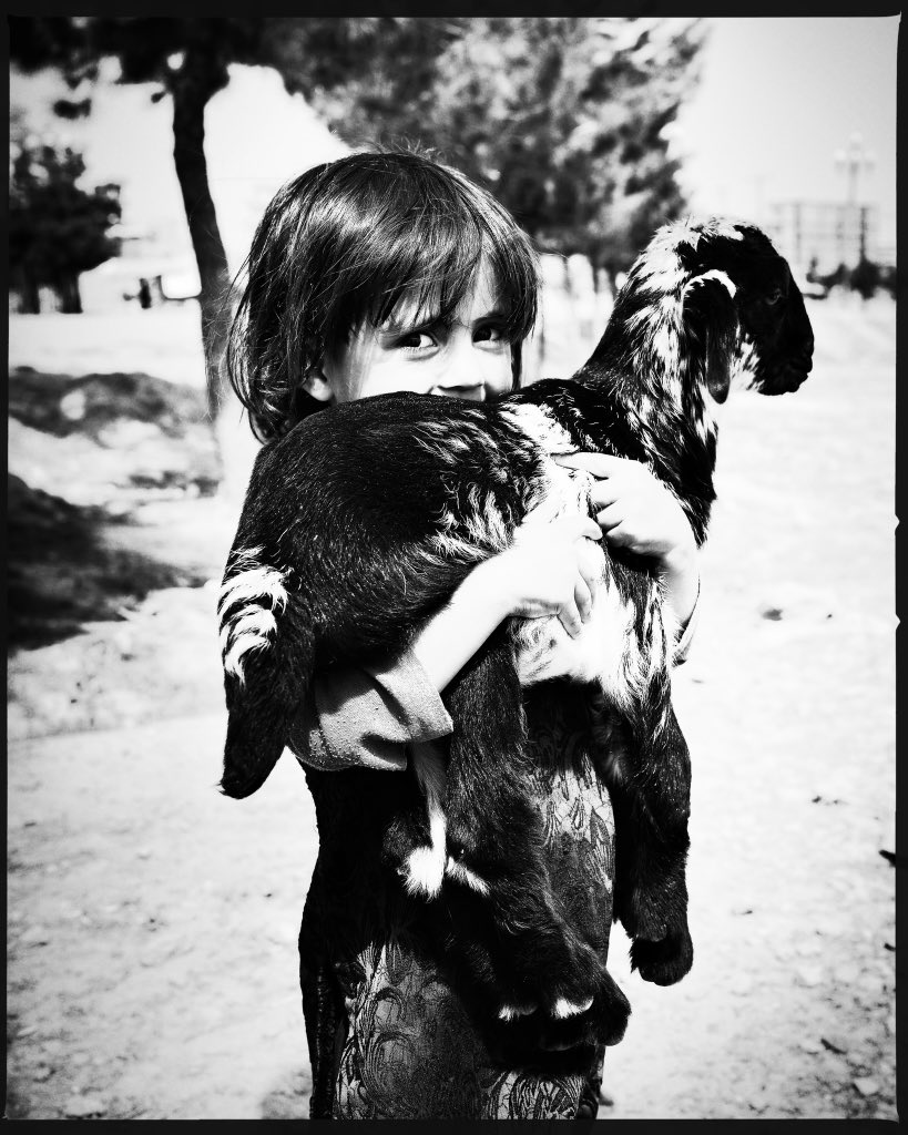 The little girl and her baby goat friend.