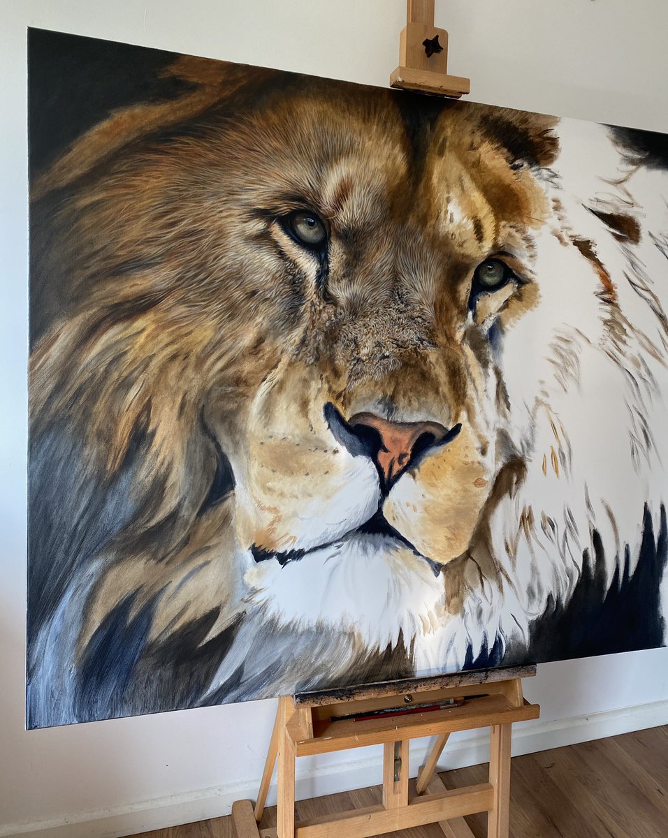 Working on a New specially commissioned painting this week!….can’t wait to get some more colours on the canvas 🦁🐾

#lions #lionart #painting #commissions #commissionart #realisticart #africananimals #wildlifeart #ukartist #acrylicart
