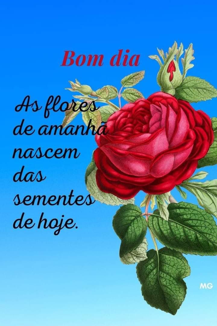 ❤️Missionária Sandra on Twitter: ❤️Missionária Sandra on Twitter: