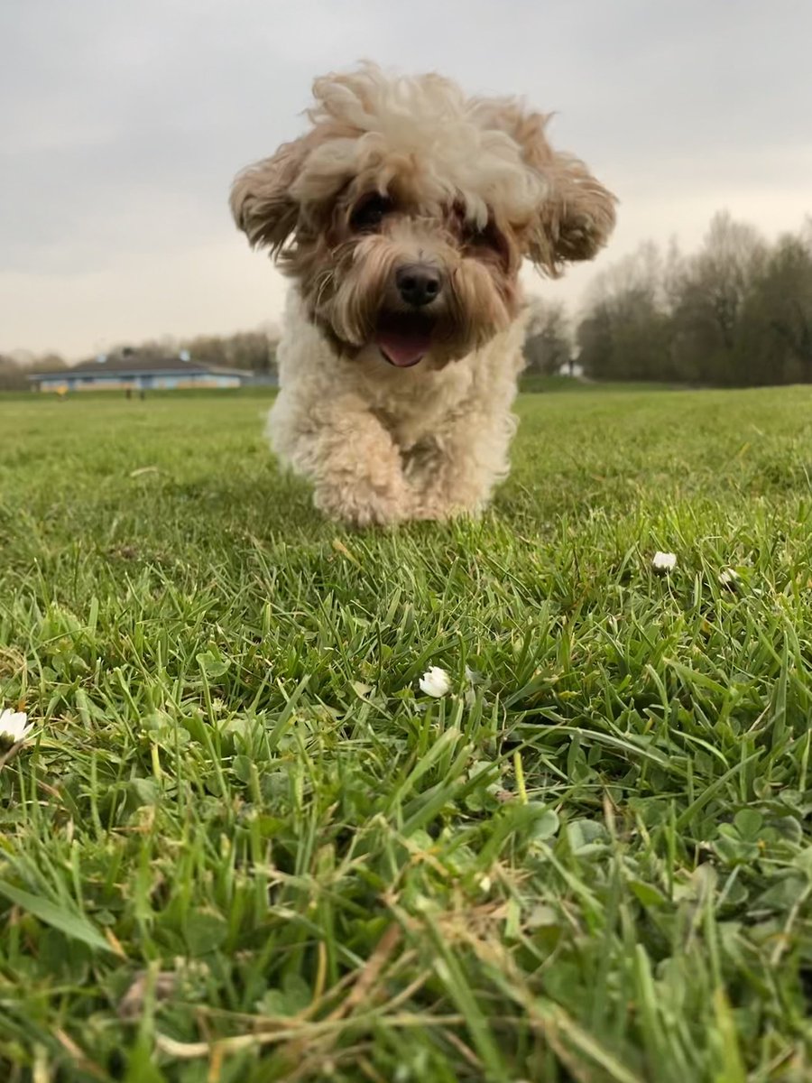 Kevin Meeks tweet media