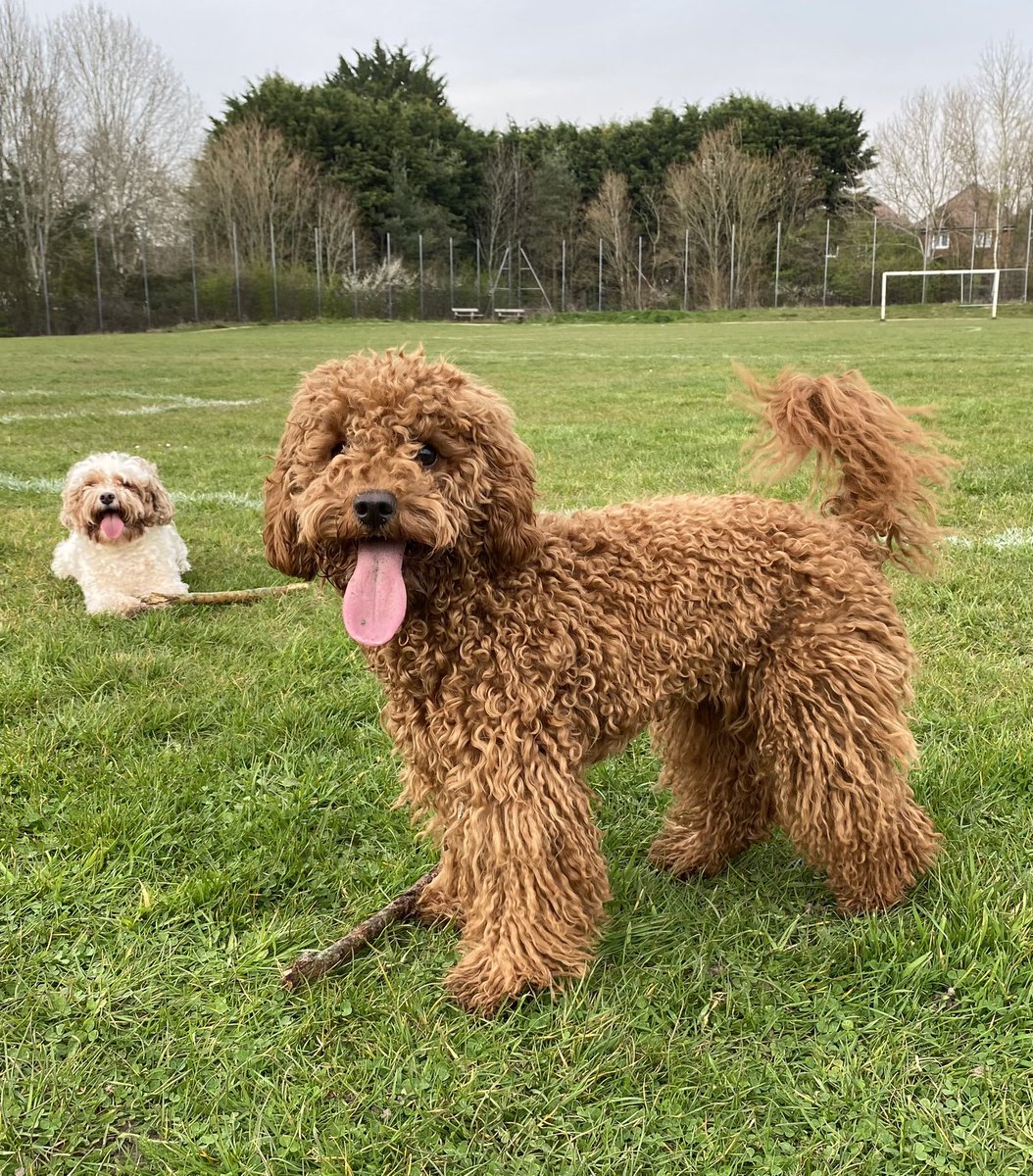 Kevin Meeks tweet media