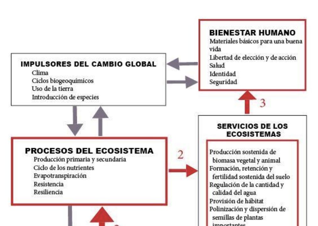 frogsicles's tweet photo. We posted our first set of translations from my Breaking Language Barriers Seminar. Check them out here: https://t.co/ZiYVcHffLa
Diaz et al 2006, Biodiversity loss threatens human well-being -- now available in Spanish and Chinese!
#MultilingualScience https://t.co/QDhJd1OUre