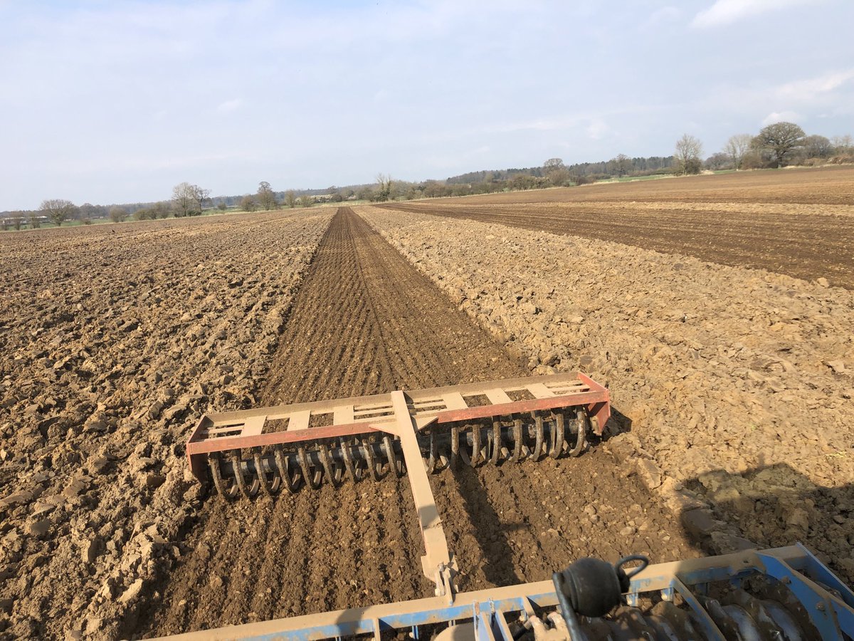 SustEnvFarming's tweet photo. #beet22 land prep. Drilling tomorrow aimed at Nov lifting following an eight month mixed #covercrop https://t.co/yi5HU8w2BI