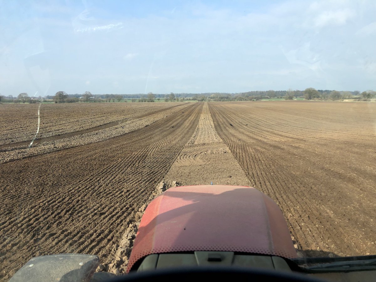 SustEnvFarming's tweet photo. #beet22 land prep. Drilling tomorrow aimed at Nov lifting following an eight month mixed #covercrop https://t.co/yi5HU8w2BI