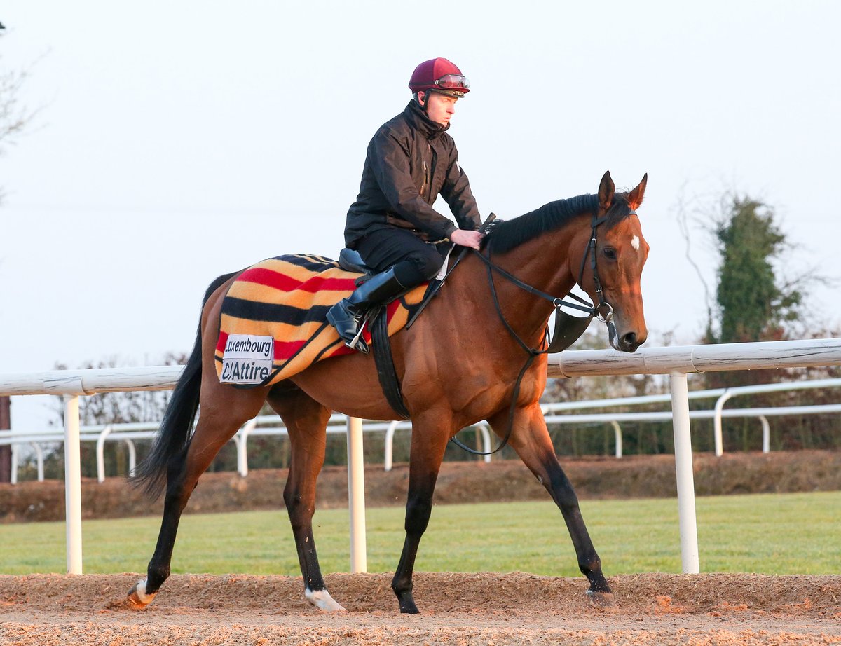 Luxembourg ❤️💙