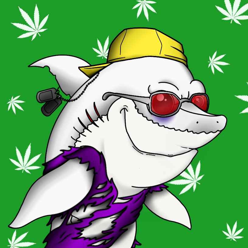 Mizumoto_SOL's tweet photo. Who wants to win a FREE SHARK NFT in just 3 clicks?

We are giving away 3 Sharks, let's gooo!!🦈🔥

To win:

1. RT
2. Join our Discord: https://t.co/lq8Kz8IPoS
3. Follow us @AngrySharksCrew 

⏰ 48 hours!

#NFTGiveaway #NFTGiveaways #NFTCommunity #NFT #Solana #NFTcollector #NFTS https://t.co/lc5EcVBjve