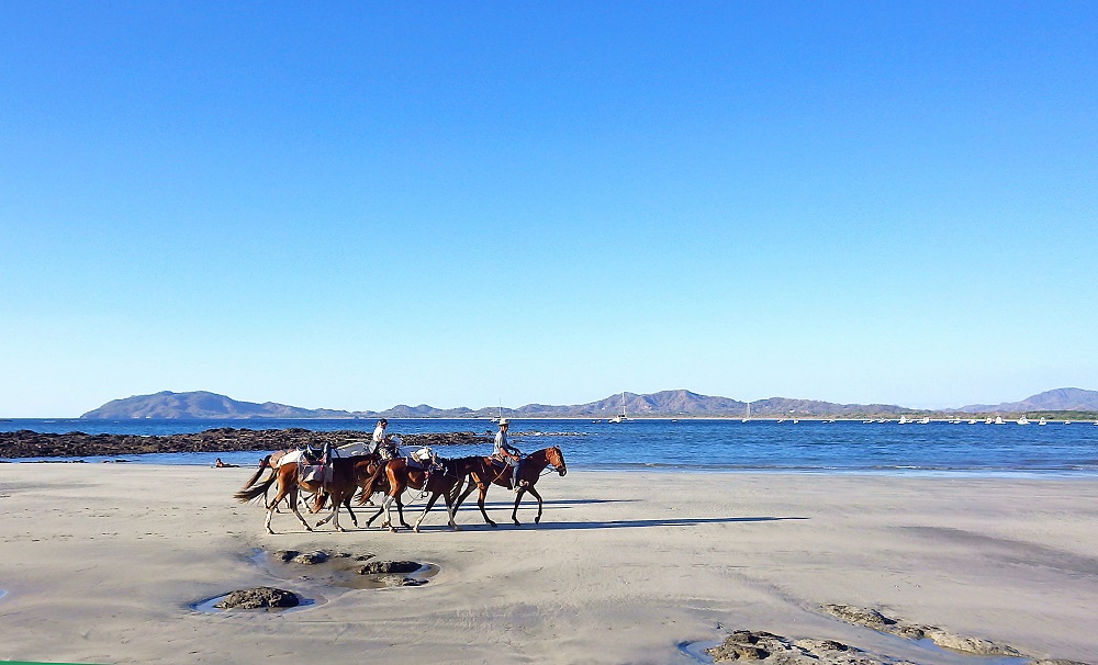 CrPlanner's tweet photo. #CostaRica #Travel #Vacation #Holiday https://t.co/mZzj89yUPy