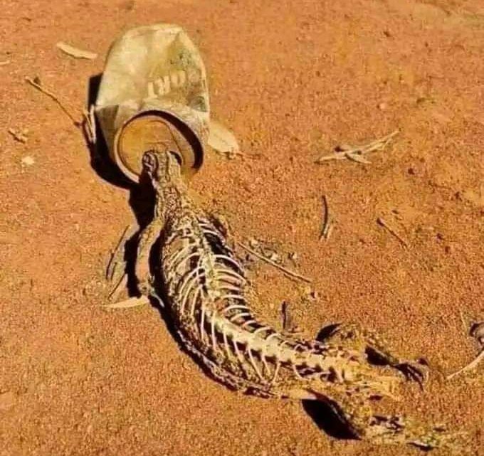 zakariyya112's tweet photo. Dear MEN,

If you want to make it in life, you don't have to enter every HOLE you see. Some holes are dead traps. Some holes are destiny destroyers, business destroyers and life destroyers.

May you find the HOLE that makes your life better

#kukan kurciya jawabine https://t.co/VGbryyCHC0