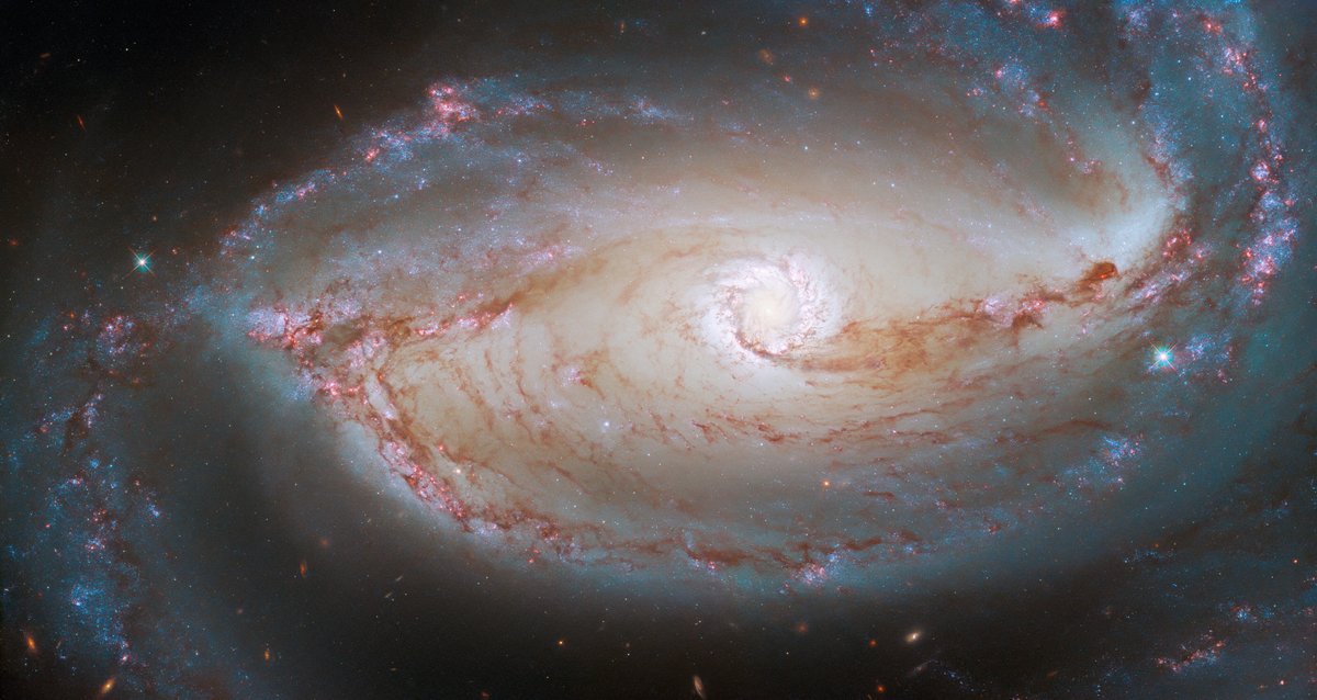 NASA_STI's tweet photo. 🤩Hubble double take! Read more about this image of a barred spiral galaxy 48 million light years away from Earth in the constellation Fornax! https://t.co/HwTNloPJf7
See what else @NASAHubble has spotted by visiting our STI Repository. https://t.co/Y4UNIsN9RI #STIoftheWeek https://t.co/2gfFRcdZsL