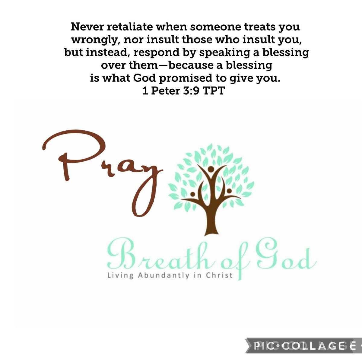 breathofGodMag's tweet photo. Great Monday morning. I'm praying for you! I pray that you would obey and cling to God's word. I pray that you bless others who treat you wrong because God has called you to this. In Jesus' name. Amen.#BreathofGodSpeaks #BOGprays #BOGencourages #BOGdisciples  #breathofgodmag https://t.co/OXjgofEEpi