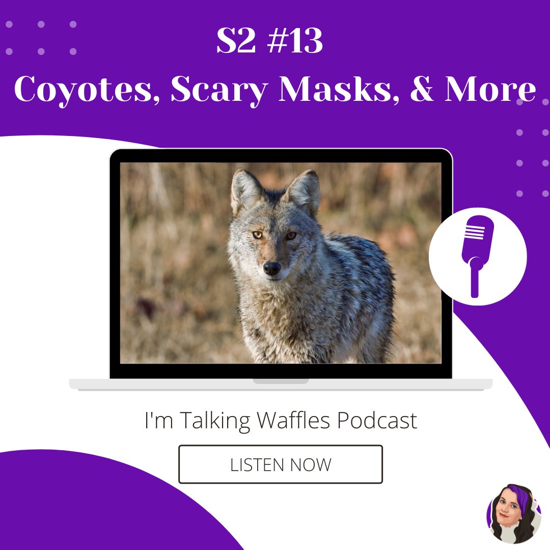 WafflesIm's tweet photo. Introducing #MiniWaffles! This is a new segment in the I'm Talking Waffles podcast where I talk about a bunch of different shorter stories that wouldn't be long enough for their own episode.
Listen now: https://t.co/TTrFvKJ1s5 https://t.co/3kL0ERGruv
