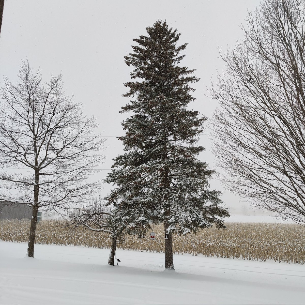 JuanitaBorland's tweet photo. Yesterday was a blizzard but so many showed up at church! Our 1st Sunday in 2 years without masks! We sang and enjoyed coffee and fellowship after, it was quite a moment #almostcried #happy #smiles #freedom #GlorytoGod #blizzard #snow #march #Sunsags #farmerswife https://t.co/Hk9DfFnLrA
