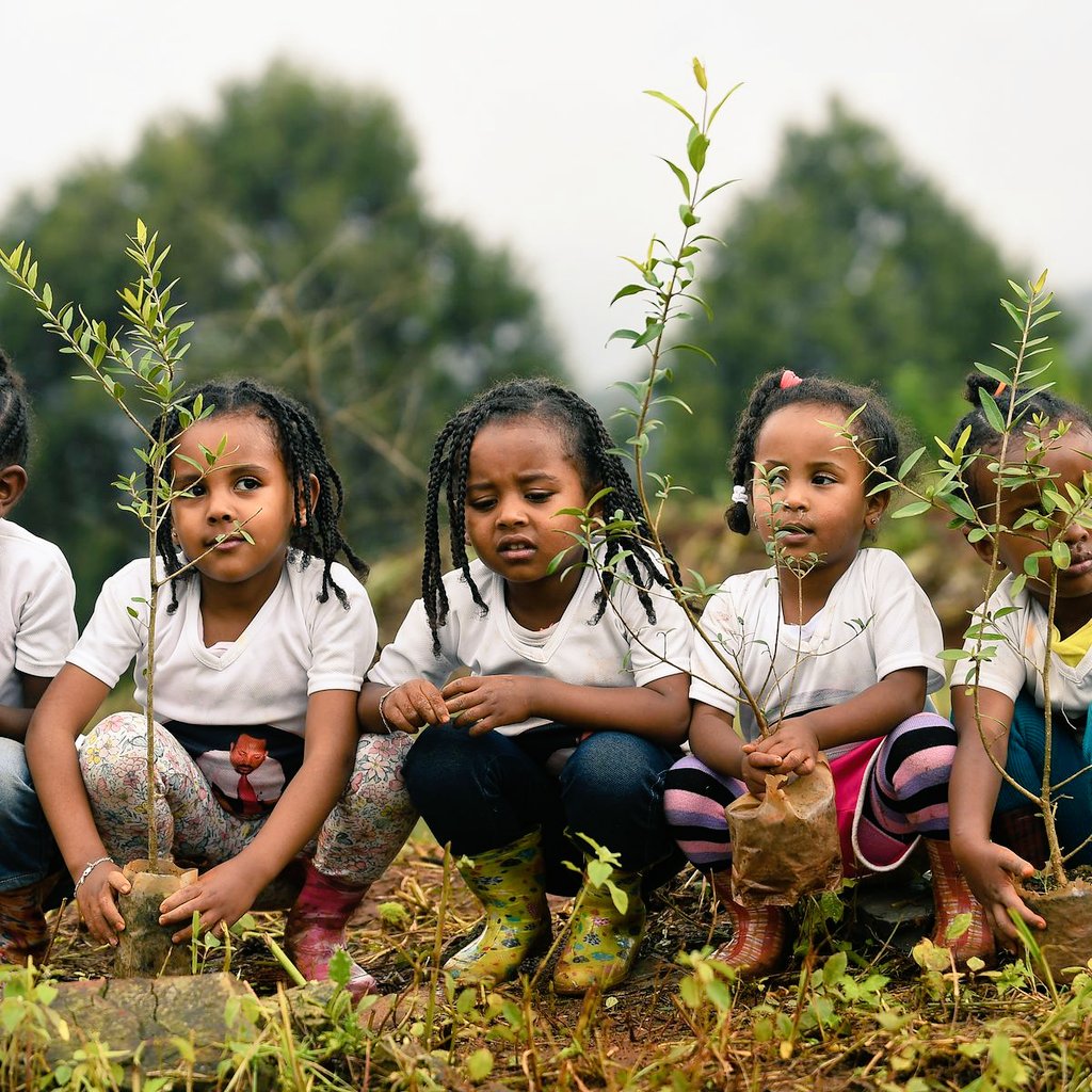 Greenactions221's tweet photo. In Ethiopia, more than 353 million trees in 12 hours have been planted to fight global warming. According to CNN, the people of Ethiopia broke a world record by planting over 353 million trees in 12 hours.
Let's act now for your children's future and help prevent climate change. https://t.co/LDpHIc6tvc