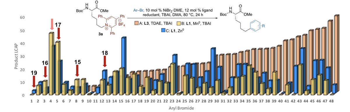 Dani Schultz tweet media