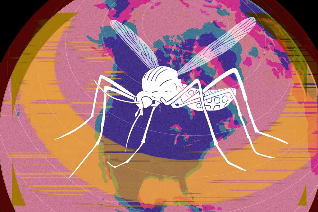 GISP_Tweets's tweet photo. 'As #limateChange brings more #Drought and pushes temperatures toward what is termed the “Goldilocks zone” for #Mosquitoes — not too hot, not too cold — scientists expect West Nile transmission to increase across the country."
https://t.co/59VJqodGWA
#Colorado #Health https://t.co/lywBNOYN4U