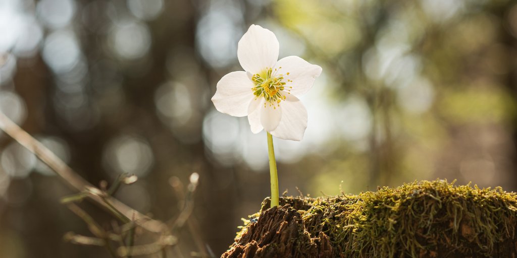 What does 𝗿𝗲𝗴𝗲𝗻𝗲𝗿𝗮𝘁𝗶𝘃𝗲 𝘀𝘂𝘀𝘁𝗮𝗶𝗻𝗮𝗯𝗶𝗹𝗶𝘁𝘆 mean to you? 

#Sustainability #MondayThoughts