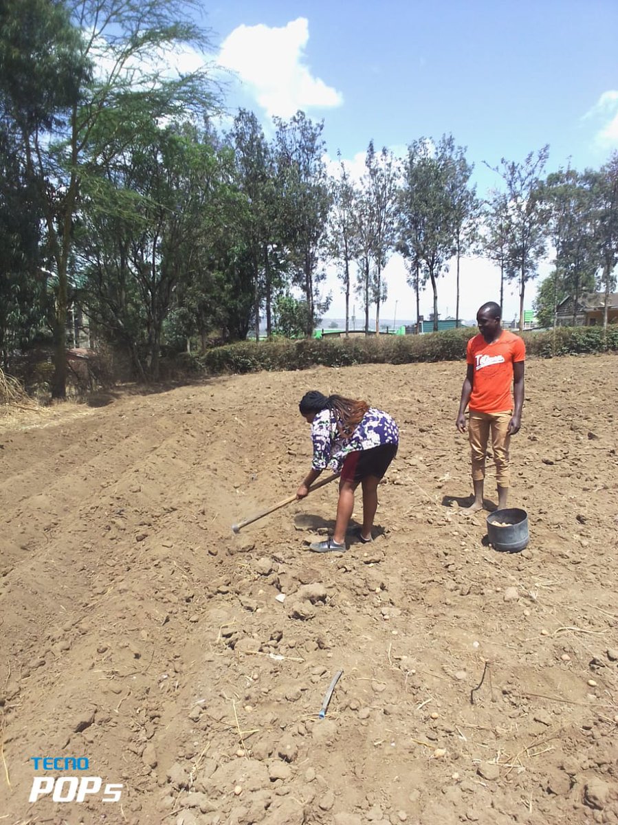 DeeChelule's tweet photo. Line of duty
#agriculture 
#ministryofagriculture
#agribusiness https://t.co/OdJMiAGU4M