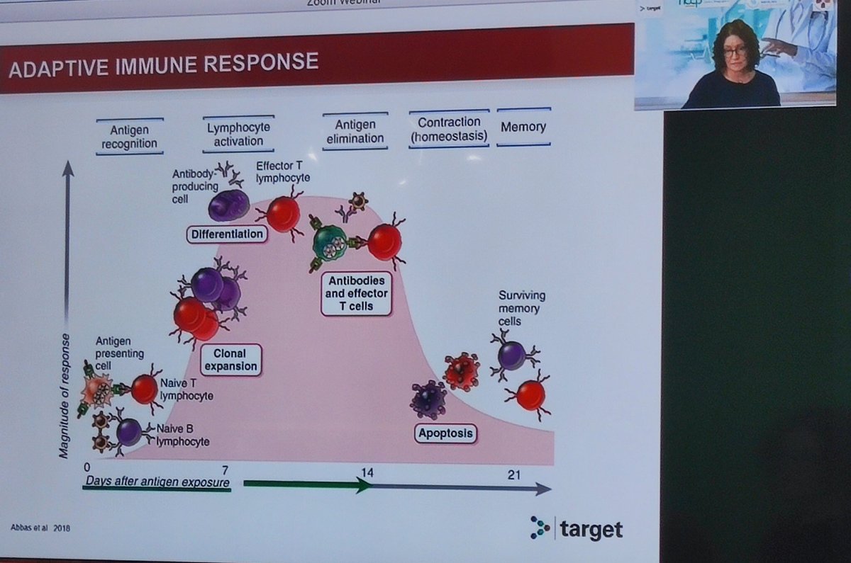 IANOCancerNurse's tweet image. Learning about the pattern of our adaptive immune response from #COVID19 and Cancer perspective @apcomeara sharing her expertise at @cancernurseEU #TARGET2022 programme. @AKinneally @hseNCCP