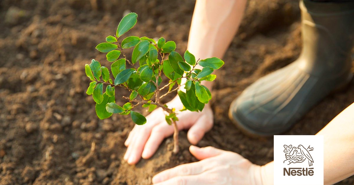 ¡Bienvenido Nestlé a Grupo Mass!
Estamos felices de anunciar que Nestlé nos eligió como su nueva agencia de comunicación. Toda nuestra creatividad, compromiso, pasión y expertise estarán puestos ahora también en este gran cliente.    Gracias por elegirnos; ¡Vamos por Mass!