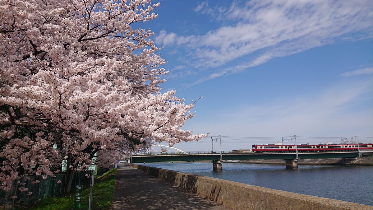 miyatuch's tweet photo. 桜🌸
鶴見川沿い https://t.co/mdPgDvlliJ