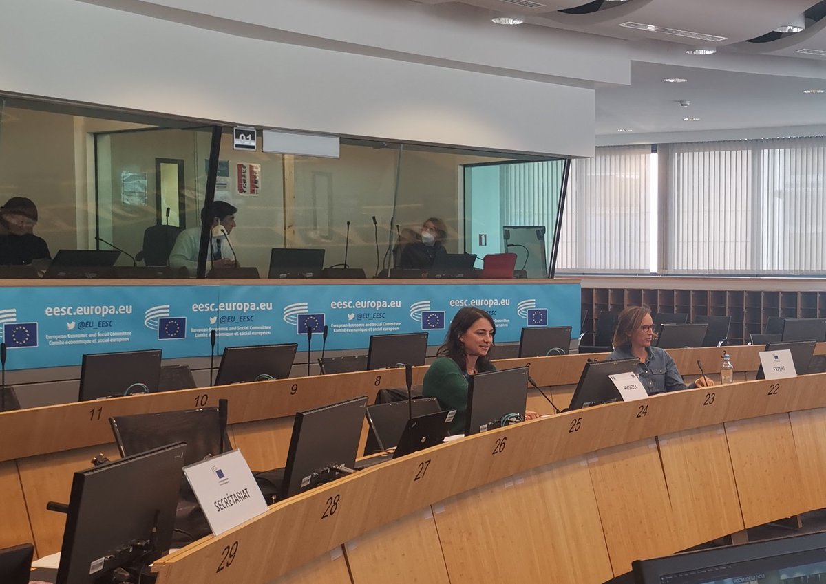 A competition policy fit for new challenges #marketresilience #twintransition #crisis.... @EESC_INT at work to highlight civil society concerns.