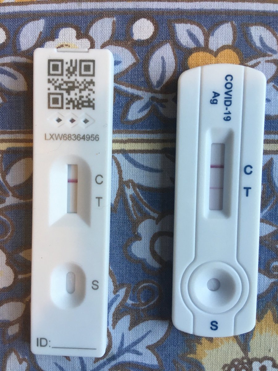 Tosca Barnes tweet media