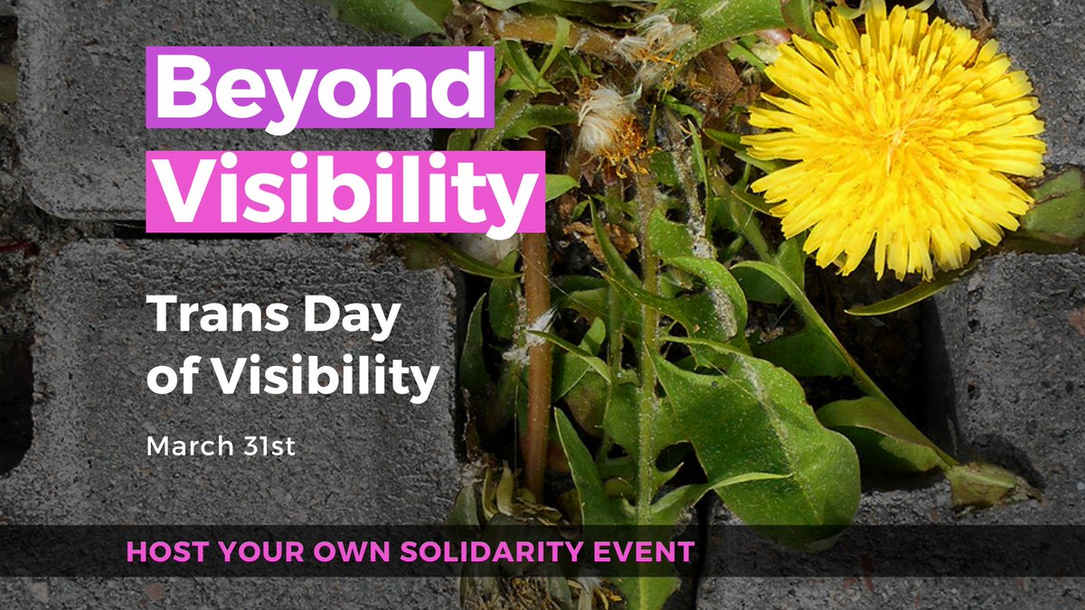 _aequa_'s tweet photo. On Thursday, for #TransDayofVisibility, we're going beyond visibility to solidarity once again. Signup here https://t.co/6B38wcGi70

or get more info on organising your own letter-writing event here: https://t.co/cCznR7uRjz https://t.co/2WhMYcOpgq