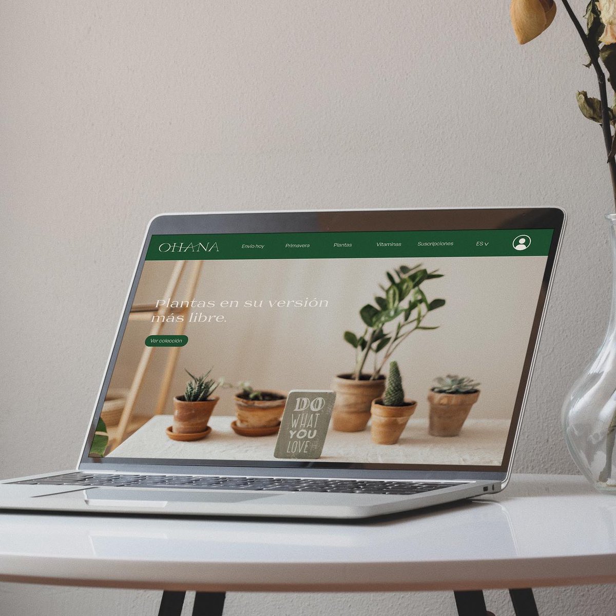 mfontesi's tweet photo. #Proyecto Ohana🌿

Esta #marca tiene como #objetivo vender #plantas a personas que estén dispuestas a #cuidarlas como si fuesen un miembro más de la #familia🪴

• #Branding
• #Packaging
• #Diseñoweb https://t.co/sbD7uMJZie