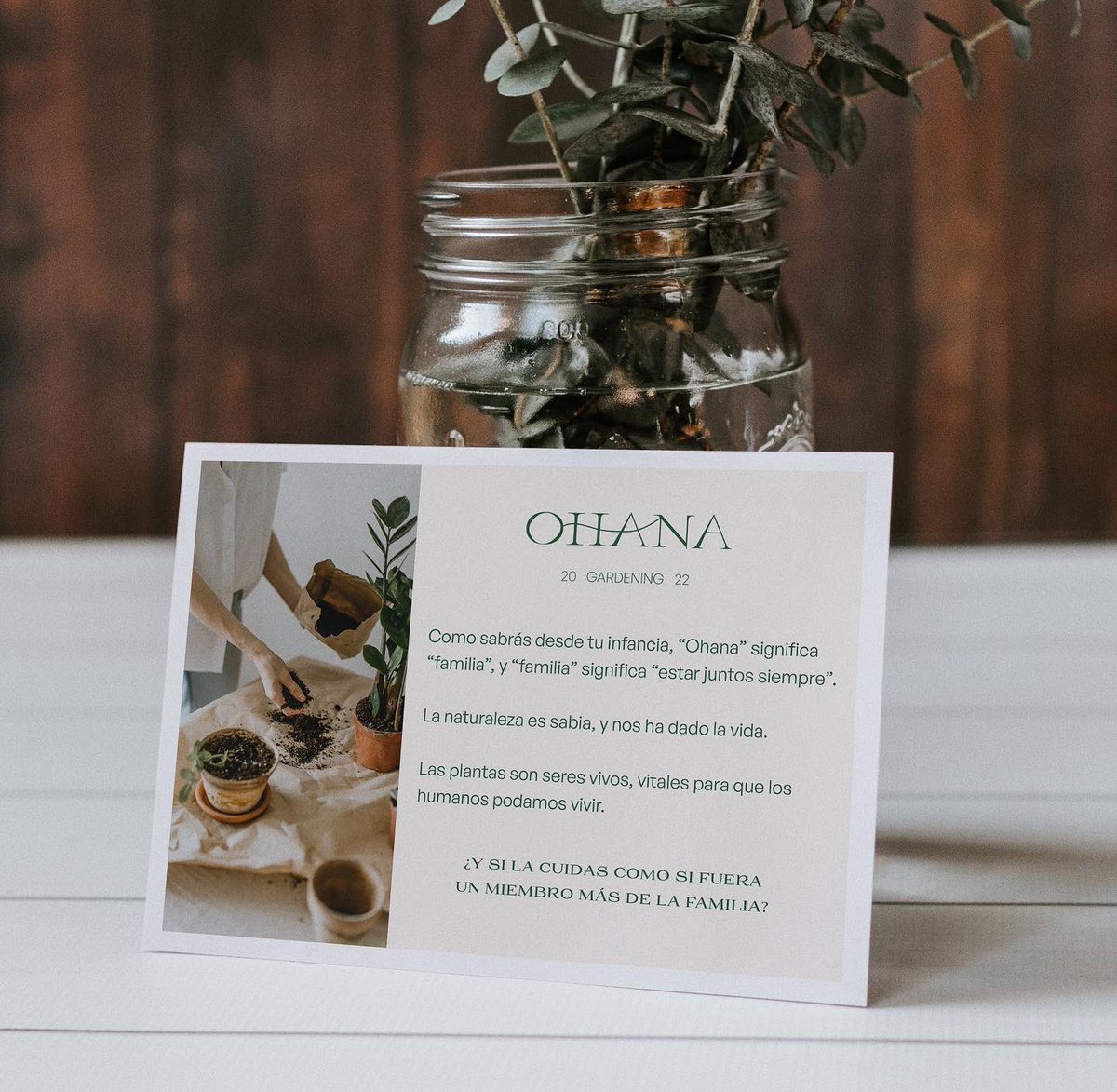mfontesi's tweet photo. #Proyecto Ohana🌿

Esta #marca tiene como #objetivo vender #plantas a personas que estén dispuestas a #cuidarlas como si fuesen un miembro más de la #familia🪴

• #Branding
• #Packaging
• #Diseñoweb https://t.co/sbD7uMJZie