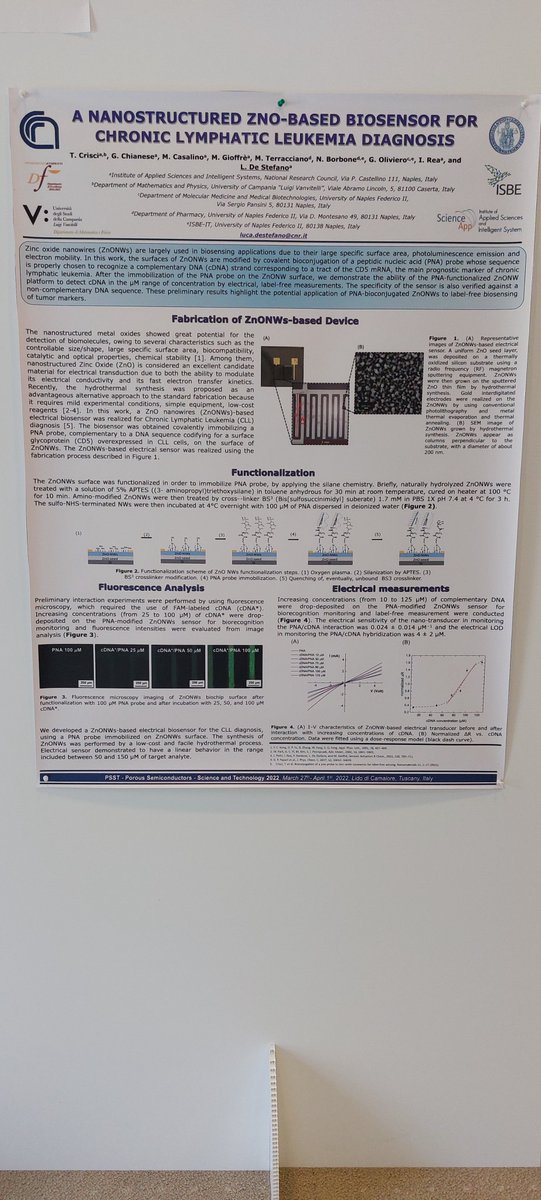 NBSY_group's tweet photo. Right now #postersession at @the_psst ! 

@ISASI_CNR 
#conference #poroussilicon #Physics #biosensor #research #CNR #semiconductors https://t.co/sm5WgAje00