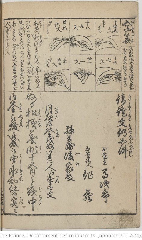 右上に見えますは年齢ごとの女性の陰門なのですが、この角度から描くのは斬新すぎる。処女の股は「新開(あらばち)」、年齢を重ねると「古開(ふるばち)」と呼ばれる。

「自分が思っていない人にさせることは、入れ物を男に貸すようなものだ。」だって。

恋川笑山
フランス国立図書館より 