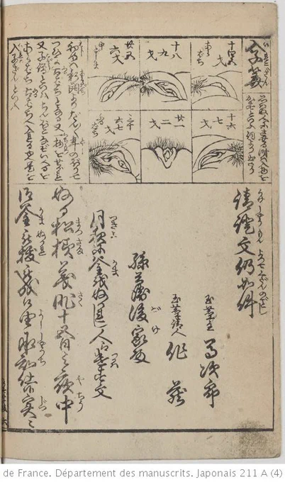 右上に見えますは年齢ごとの女性の陰門なのですが、この角度から描くのは斬新すぎる。処女の股は「新開(あらばち)」、年齢を重ねると「古開(ふるばち)」と呼ばれる。

「自分が思っていない人にさせることは、入れ物を男に貸すようなものだ。」だって。

恋川笑山
フランス国立図書館より 