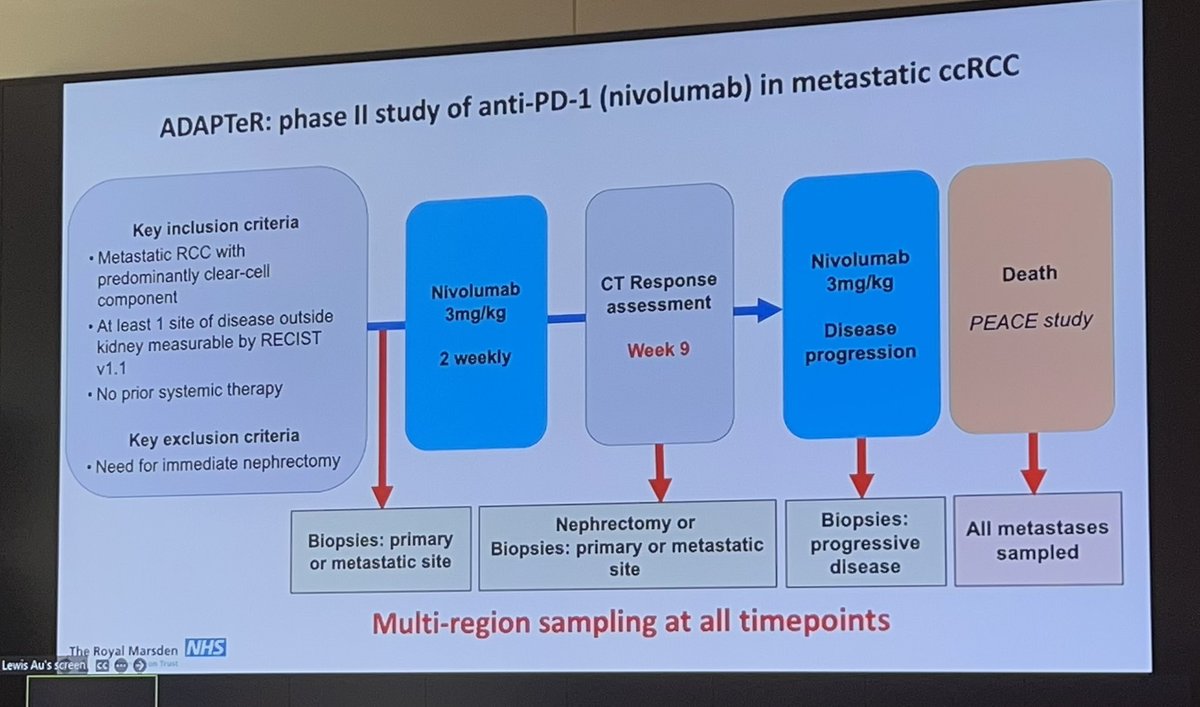 tompowles1's tweet photo. Dr Lewis Au presenting and being awarded his brillliant PhD @TurajlicLab. Tissue and ctDNA based work showing tumor heterogeneity is limiting biomarker analysis. Pre-existing T cell priming correlates with outcome to nivolumab @Cancer_Cell https://t.co/gSy8HafT3O