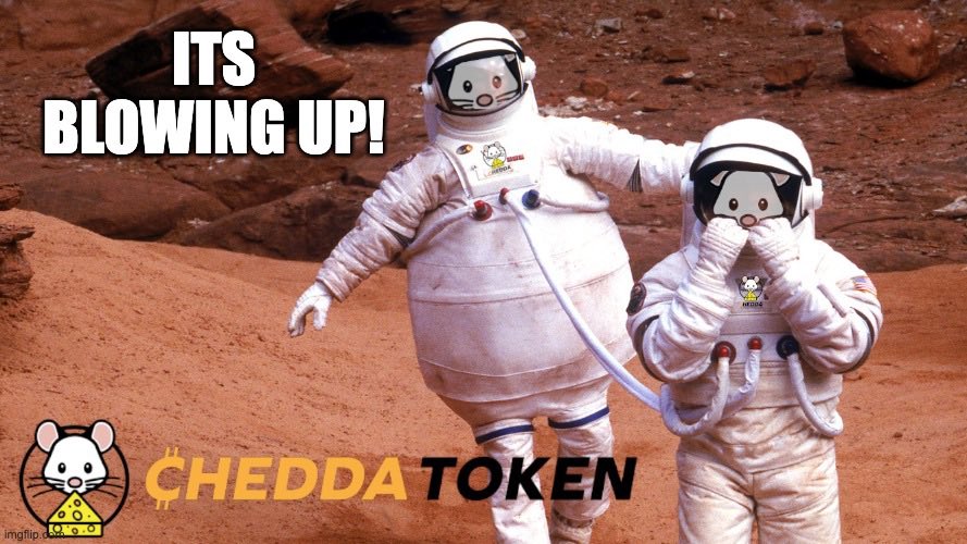 ken_heinzel's tweet photo. @AltcoinWorldcom @CheddaToken #Chedda $Chedda https://t.co/MkhsMASWnd