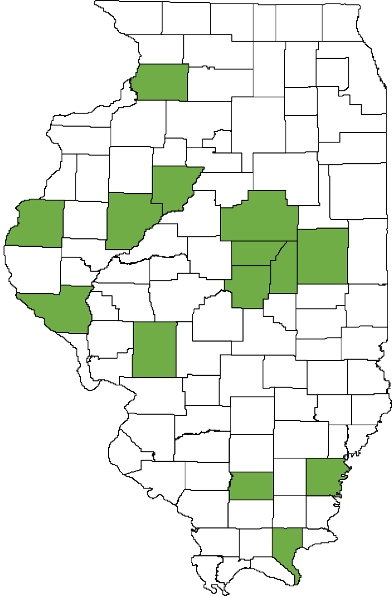 Kelly Estes tweet media