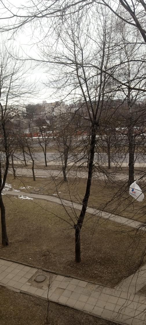 Mustaffar (@mustaffar8) on Twitter photo 