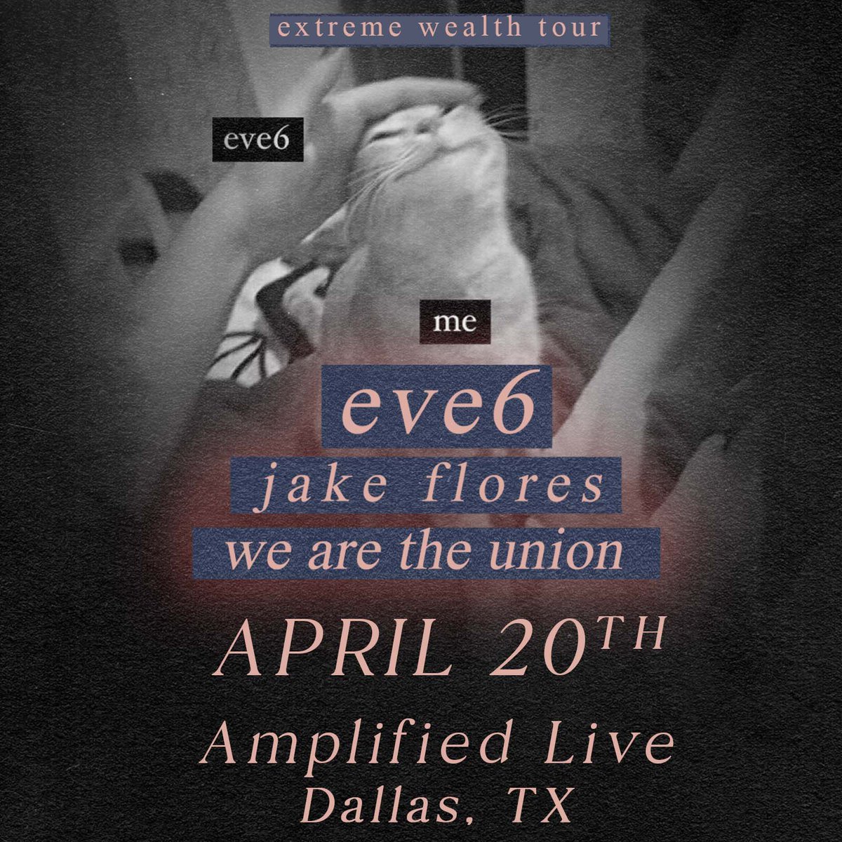 Amplified Live tweet media