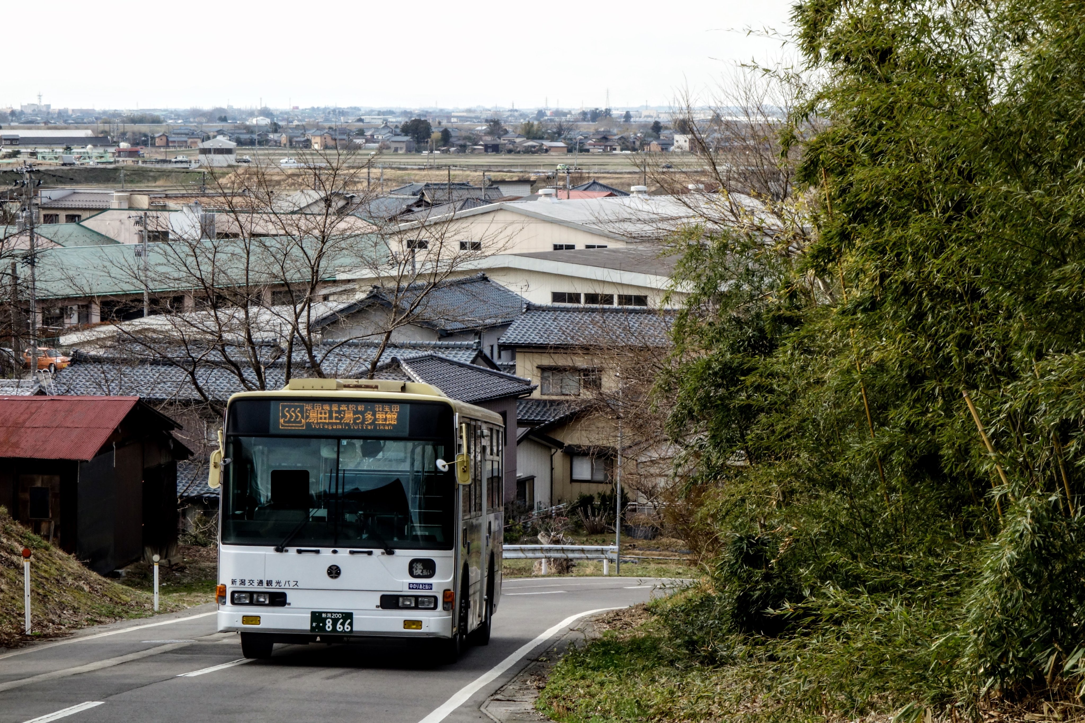 新潟県佐渡市にて哲学・歴史・文学など人文科学関係の古本を大量