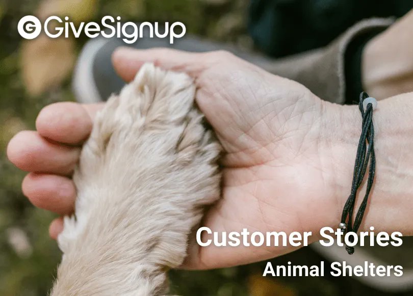 GiveSignup tweet media