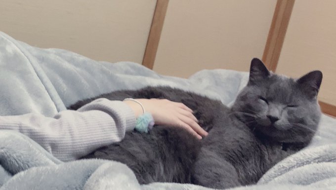 Twitterのコスプレ画像15