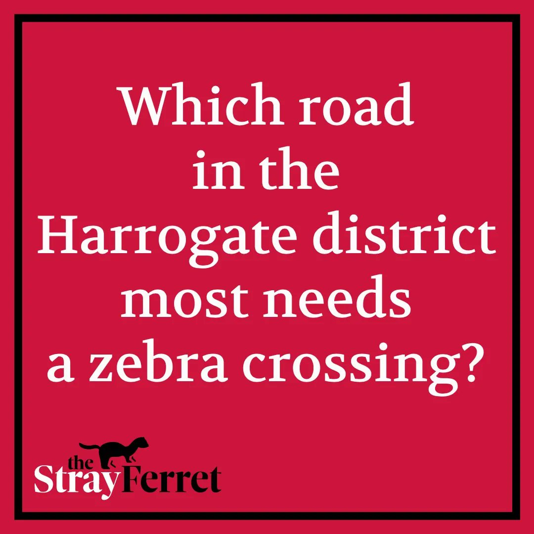 The Stray Ferret tweet media