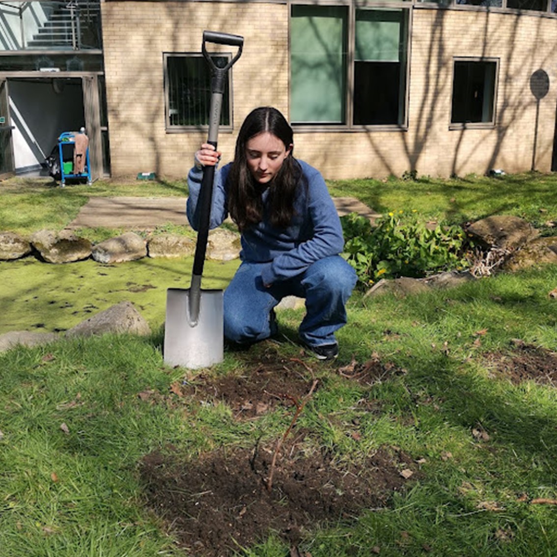 CoLA_HG's tweet photo. Thanks to all students and staff who spent their sunny Saturday morning planting a wildflower meadow on the corner of our site. Check our Instagram for more photos! https://t.co/X2nwIrmkKR