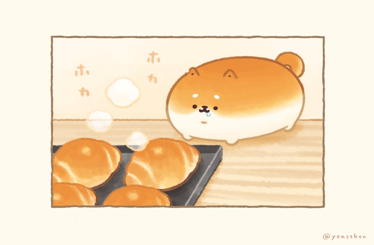 ✨(  `・ᴥ・' )🍞 ❷ 